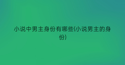 小说中男主身份有哪些(小说男主的身份)