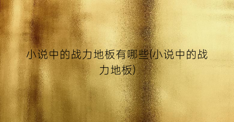 小说中的战力地板有哪些(小说中的战力地板)