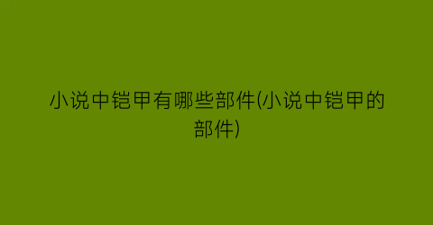 小说中铠甲有哪些部件(小说中铠甲的部件)