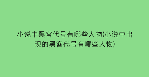 小说中黑客代号有哪些人物(小说中出现的黑客代号有哪些人物)