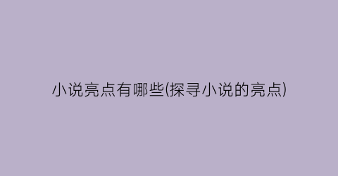 小说亮点有哪些(探寻小说的亮点)