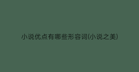小说优点有哪些形容词(小说之美)