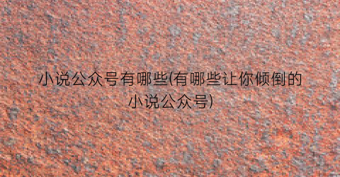 小说公众号有哪些(有哪些让你倾倒的小说公众号)