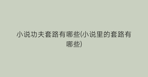 小说功夫套路有哪些(小说里的套路有哪些)