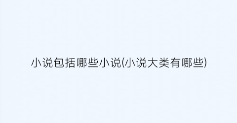 小说包括哪些小说(小说大类有哪些)