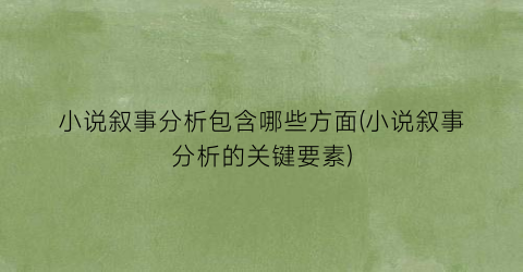 小说叙事分析包含哪些方面(小说叙事分析的关键要素)