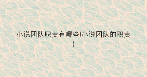 小说团队职责有哪些(小说团队的职责)