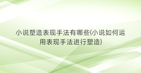 小说塑造表现手法有哪些(小说如何运用表现手法进行塑造)