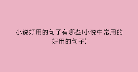 小说好用的句子有哪些(小说中常用的好用的句子)