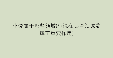 小说属于哪些领域(小说在哪些领域发挥了重要作用)