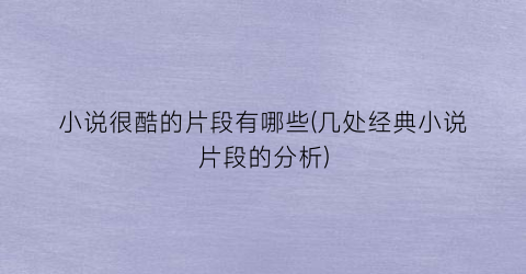 小说很酷的片段有哪些(几处经典小说片段的分析)