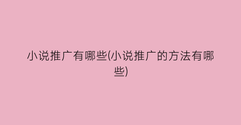 小说推广有哪些(小说推广的方法有哪些)