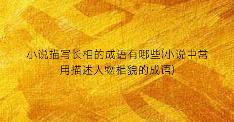 小说描写长相的成语有哪些(小说中常用描述人物相貌的成语)