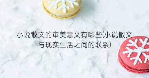 小说散文的审美意义有哪些(小说散文与现实生活之间的联系)