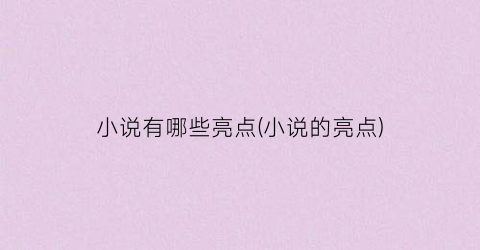 小说有哪些亮点(小说的亮点)