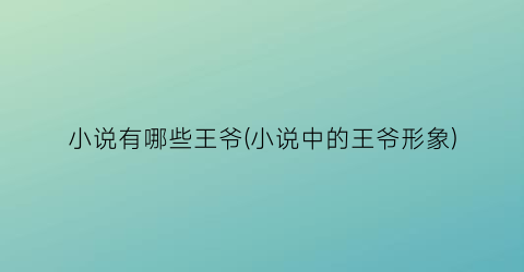 小说有哪些王爷(小说中的王爷形象)
