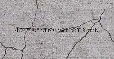 小说有哪些理论(小说理论的多元化)