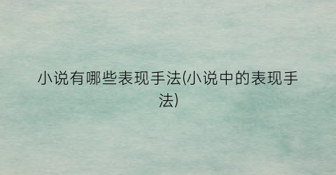 小说有哪些表现手法(小说中的表现手法)
