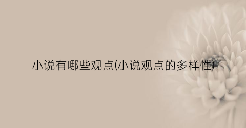 小说有哪些观点(小说观点的多样性)