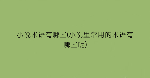 小说术语有哪些(小说里常用的术语有哪些呢)