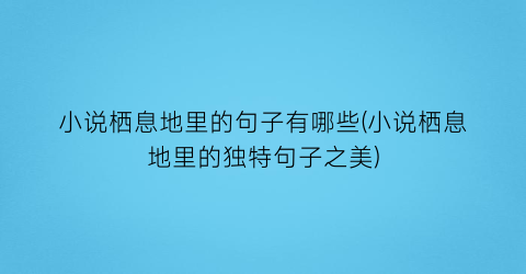小说栖息地里的句子有哪些(小说栖息地里的独特句子之美)