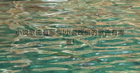 小说歌曲有哪些(小说改编的歌曲有哪些)