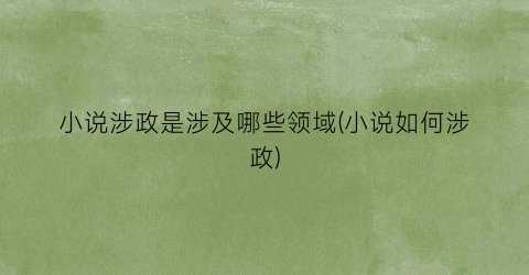 小说涉政是涉及哪些领域(小说如何涉政)