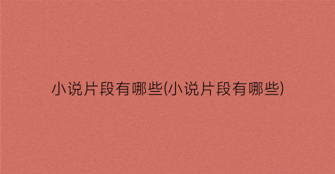 小说片段有哪些(小说片段有哪些)