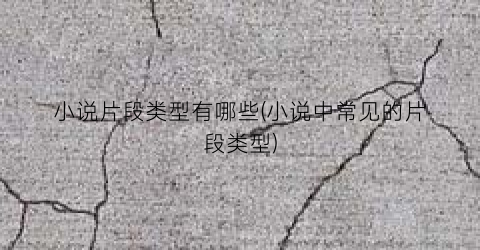 小说片段类型有哪些(小说中常见的片段类型)