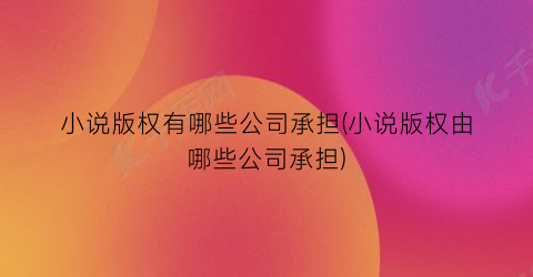 小说版权有哪些公司承担(小说版权由哪些公司承担)
