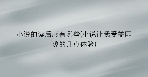 小说的读后感有哪些(小说让我受益匪浅的几点体验)