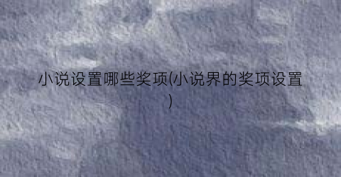 小说设置哪些奖项(小说界的奖项设置)