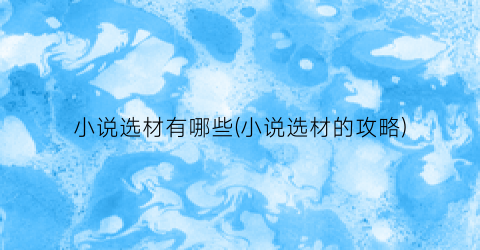 小说选材有哪些(小说选材的攻略)