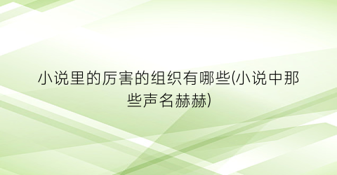 小说里的厉害的组织有哪些(小说中那些声名赫赫)