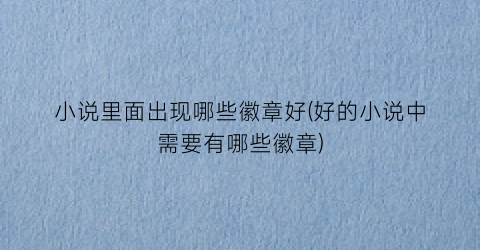 小说里面出现哪些徽章好(好的小说中需要有哪些徽章)