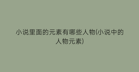 小说里面的元素有哪些人物(小说中的人物元素)