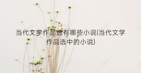 当代文学作品选有哪些小说(当代文学作品选中的小说)