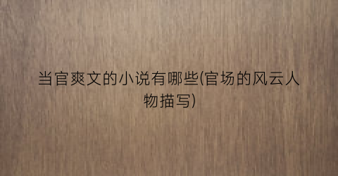 当官爽文的小说有哪些(官场的风云人物描写)
