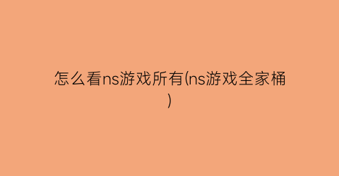 “怎么看ns游戏所有(ns游戏全家桶)