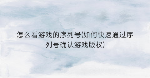 “怎么看游戏的序列号(如何快速通过序列号确认游戏版权)