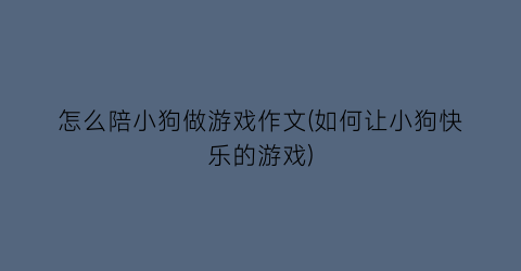 怎么陪小狗做游戏作文(如何让小狗快乐的游戏)