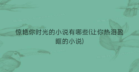 惊艳你时光的小说有哪些(让你热泪盈眶的小说)