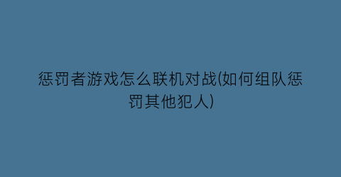 惩罚者游戏怎么联机对战(如何组队惩罚其他犯人)