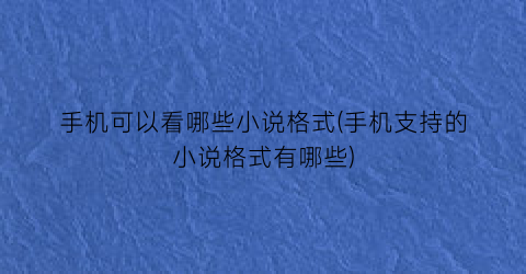 手机可以看哪些小说格式(手机支持的小说格式有哪些)