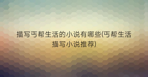 描写丐帮生活的小说有哪些(丐帮生活描写小说推荐)