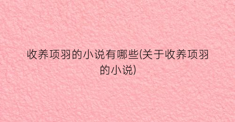 收养项羽的小说有哪些(关于收养项羽的小说)