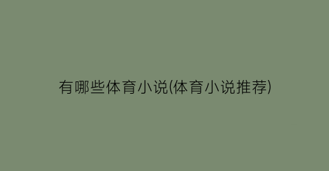 有哪些体育小说(体育小说推荐)