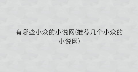 有哪些小众的小说网(推荐几个小众的小说网)