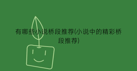 有哪些小说桥段推荐(小说中的精彩桥段推荐)