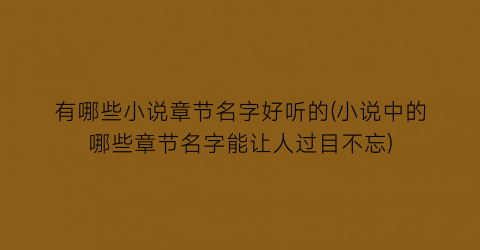 有哪些小说章节名字好听的(小说中的哪些章节名字能让人过目不忘)